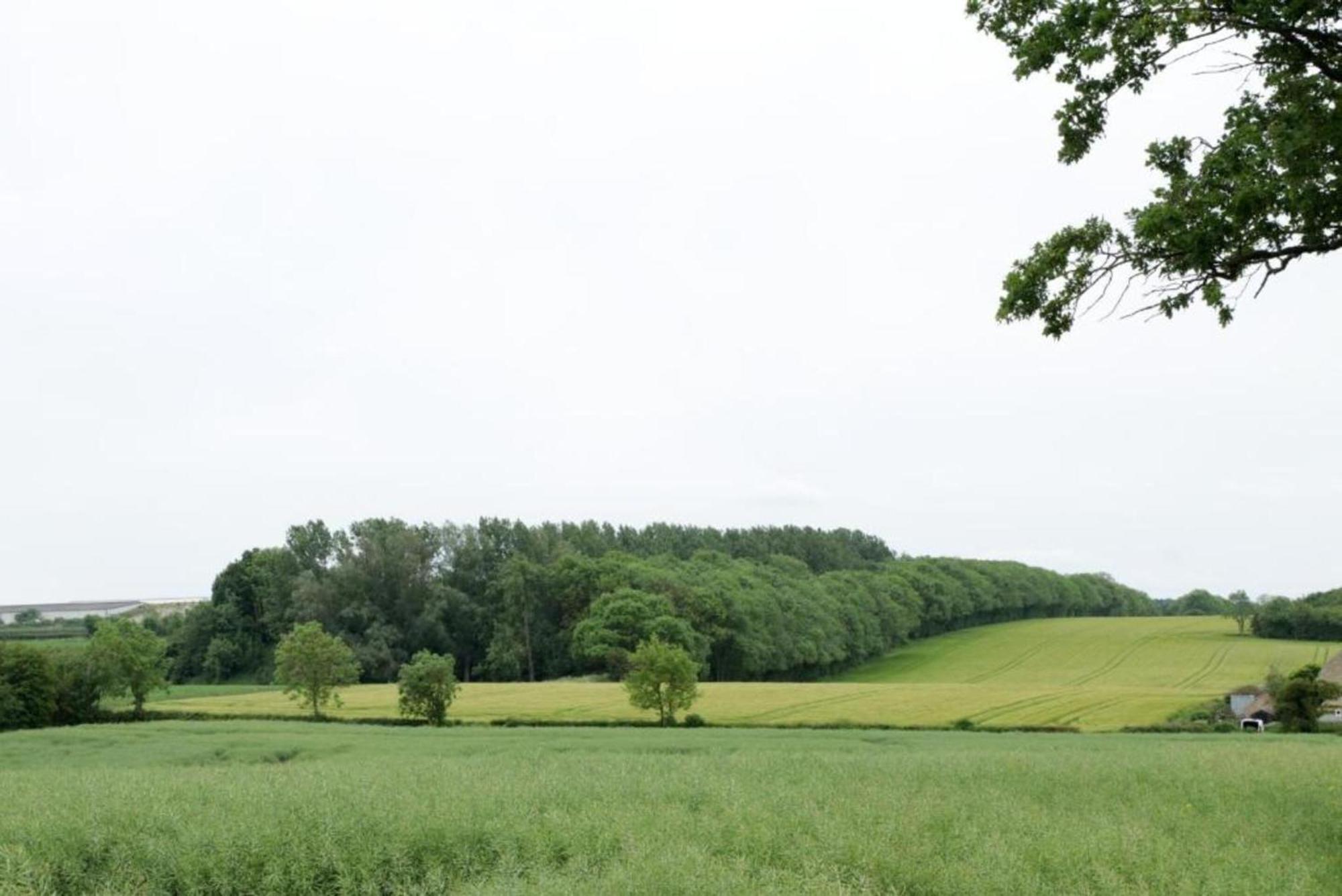 Oyo 4 Sisters Inn North Kyme Zewnętrze zdjęcie